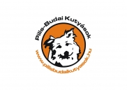 Pilis-Budai Kutyamentők Közhaszú Egyesülete