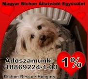 Magyar Bichon Állatvédő Egyesület